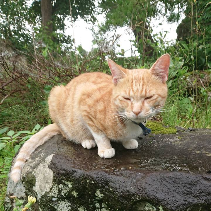 0a174a28 a2ce 4c8e 8415 7bb9ddf646bd 1563583064468