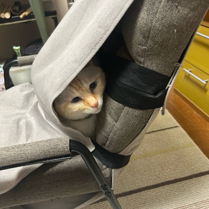 0a1760ec b14c 4f4a ab94 19098de8769d 1753597973748