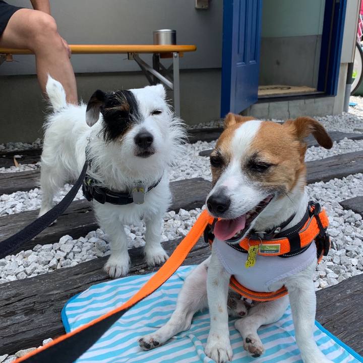 0a176504 663a 4fe2 933d e76e0976bdc8 1558239416794