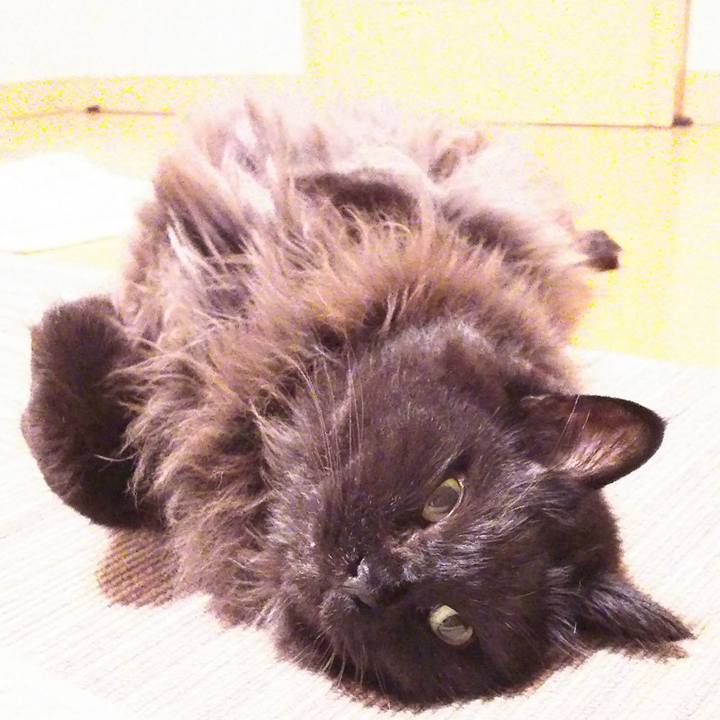 0a179ee3 cba7 4c94 84e5 575ab34b4202 1510661287654