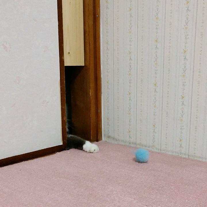 0a17c82f d226 4dc9 a8c8 e02929778abf 1591792132682