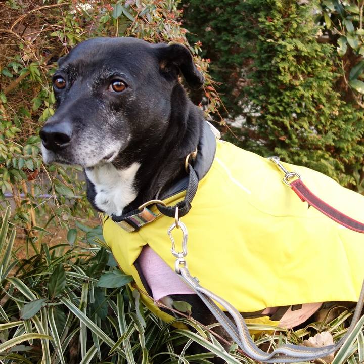 0a17cab2 ab78 40bd b6fd 69d721437b01 1739495344237