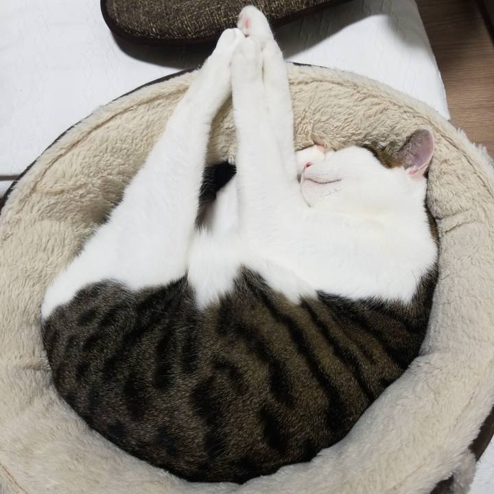 0a17cc87 c936 4bfe b233 f0c148f8eba8 1581246958074