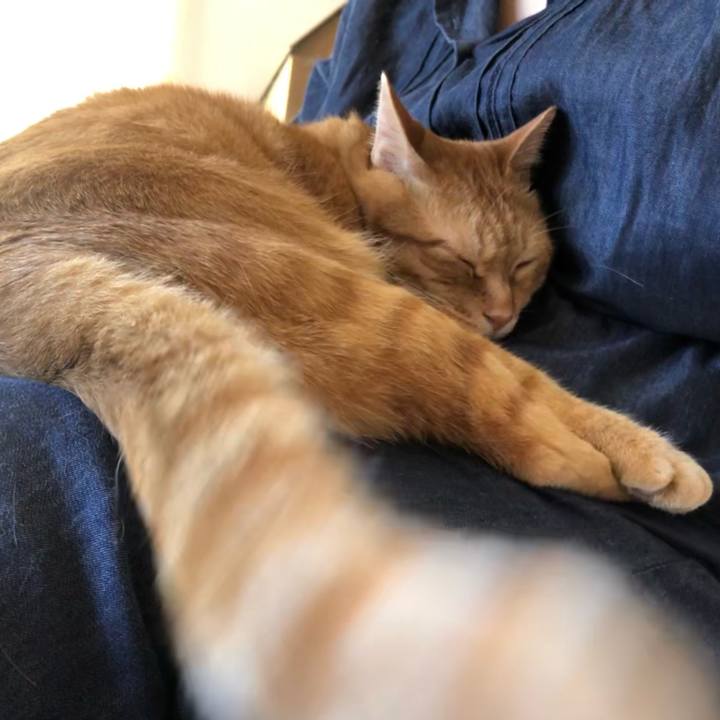 0a1805b4 9fa5 47ab ab72 cebeee68d733 1618104494460