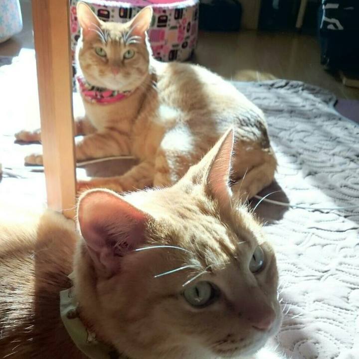 0a188201 9b8a 43ab 9bf0 dd8e70e9f3c6 1515116597089