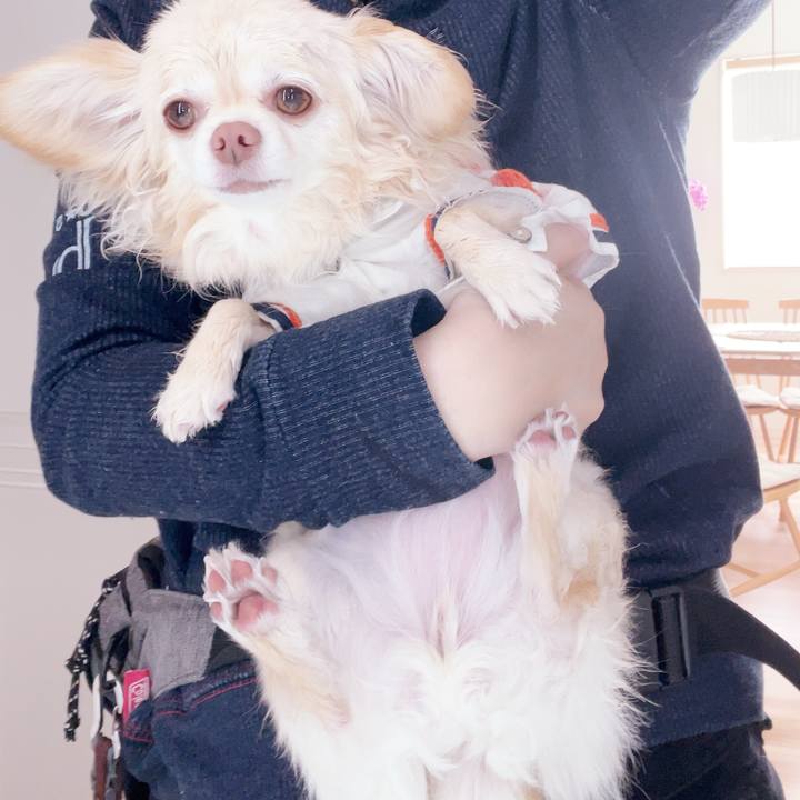 0a18846e d459 435b 9ed5 68fb32dd5dbe 1744011952087