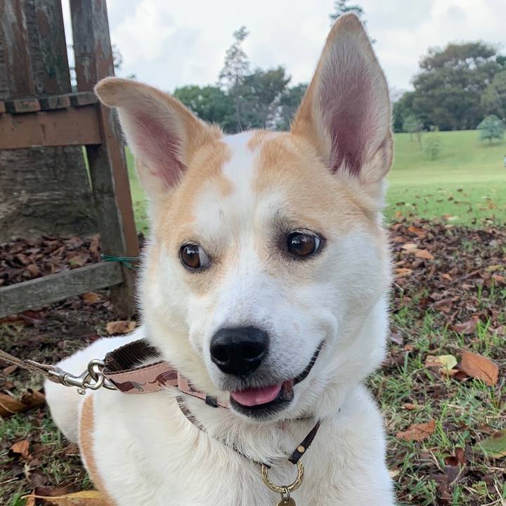 0a1896c9 7cb6 457d aeb7 1bfdeee9dda6 1634005374095