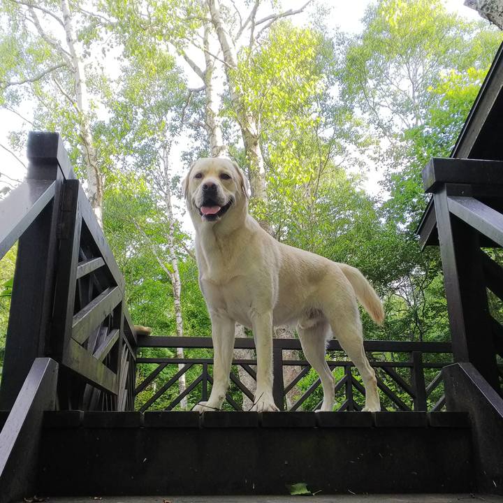 0a18d57c 73f5 4692 b27f 1ac18f7ff350 1531472612532