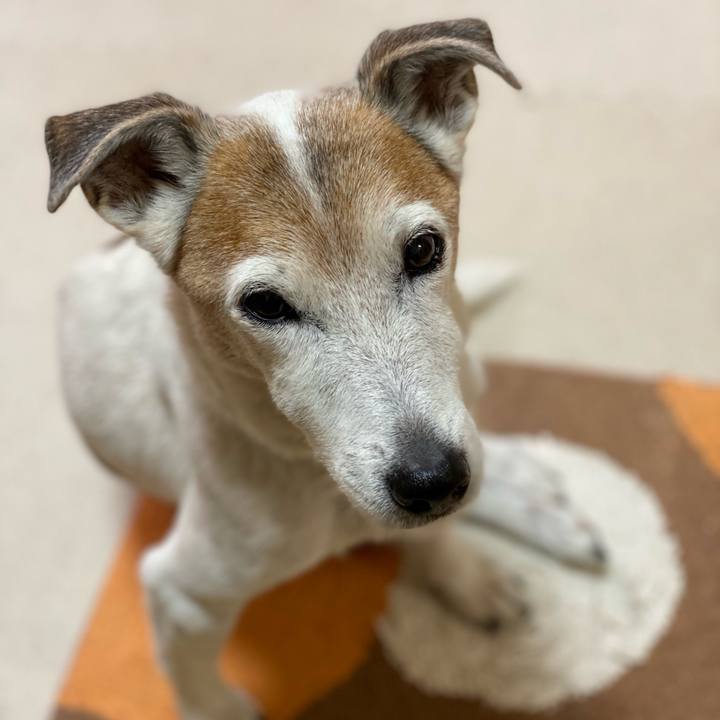 0a18d740 6e0c 45b5 bc9d 61ee5f082c1e 1607379693292