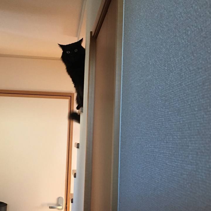 0a18e259 fa1c 4d6a af67 c6ae81cacbe0 1515640672578