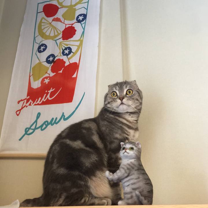 0a1900dc 2893 4710 a206 542b674f9914 1629033421661