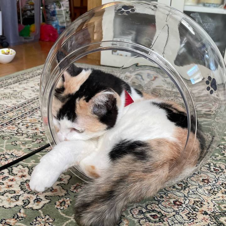 0a19190e e9a6 47f8 a237 990cc072a4fd 1721691375853