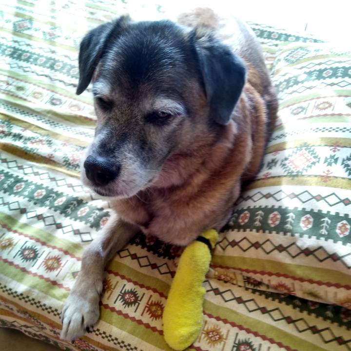 0a191b3c c01b 49a8 9de8 11eace0dc207 1546908099114