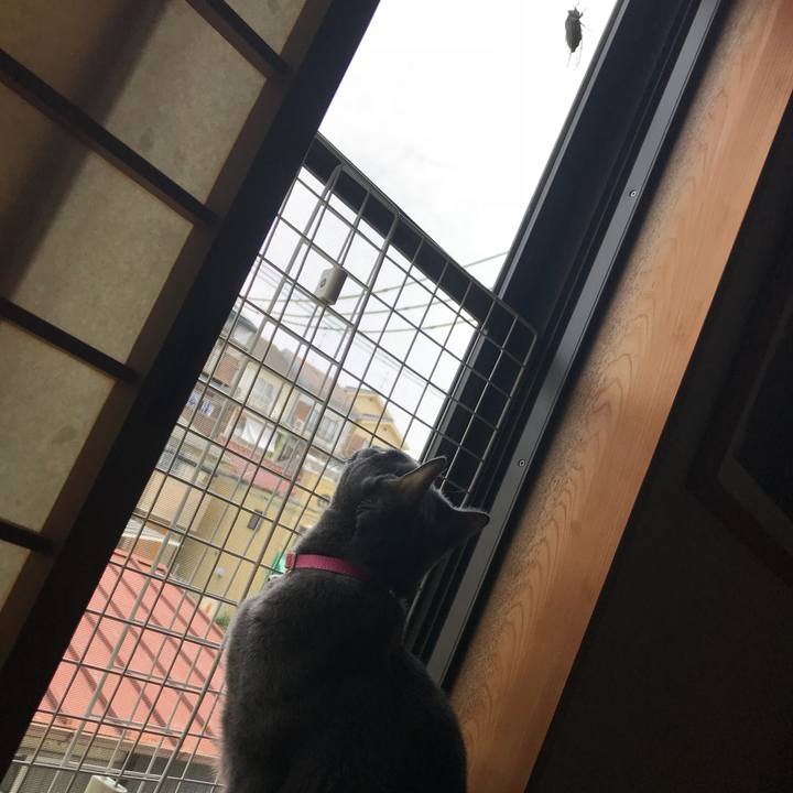 0a192446 b71f 4022 b18e b61c00d1451a 1531352243475