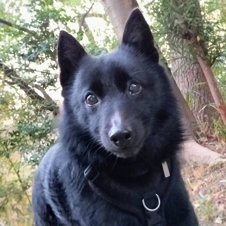 0a19274f 7178 429d b811 4dbb16c6c987 1739744021629