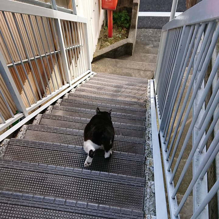 0a196465 faf5 46f2 9ddc 7509c19b7c91 1539822538967