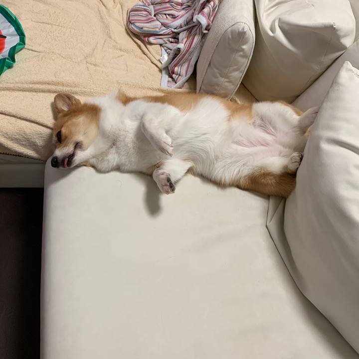 0a19699a f4af 4056 884a 02855333f604 1566107461241