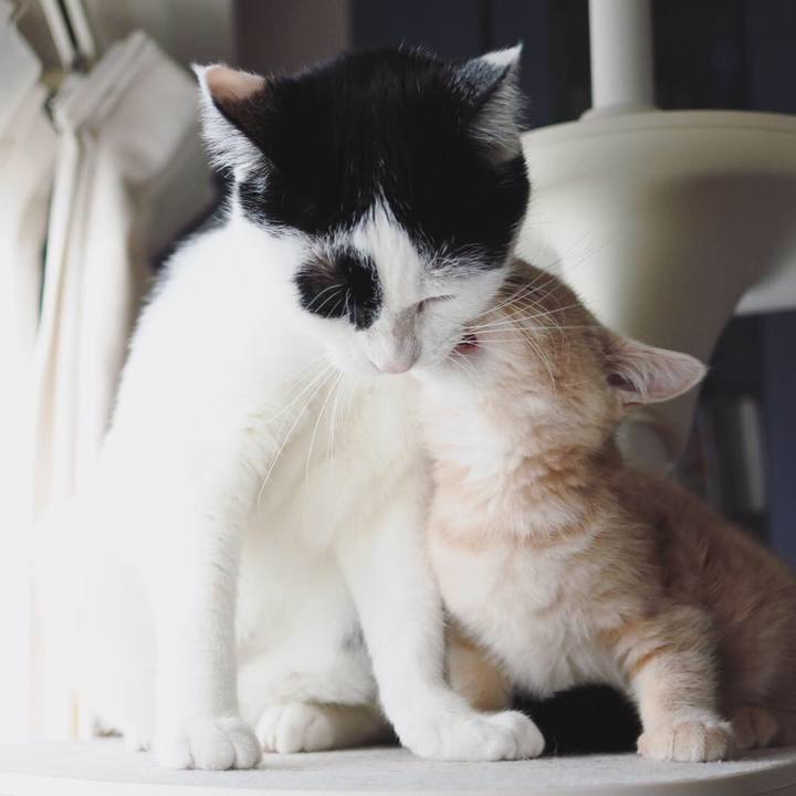 0a19791f 0783 4605 91fd 92b4246bbe7b 1544269037894