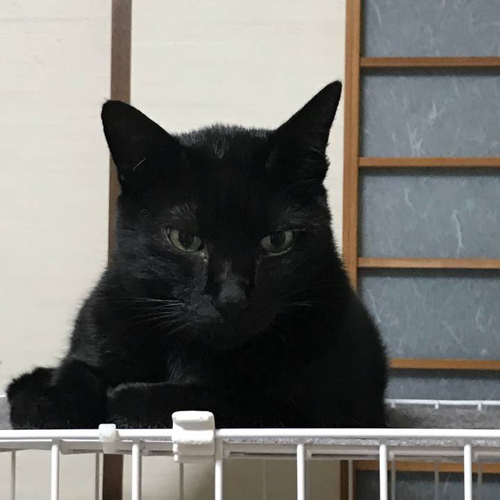 0a199a4c 9b97 454c 9fc3 9ead8ff3921f 1537404907338