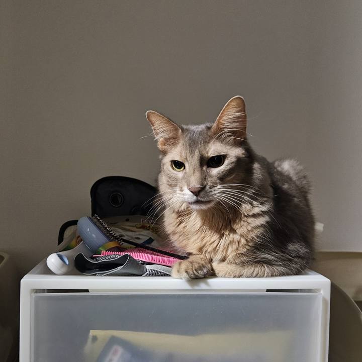 0a19a110 d2d2 4b1d b2af acead0b588ef 1757561309333