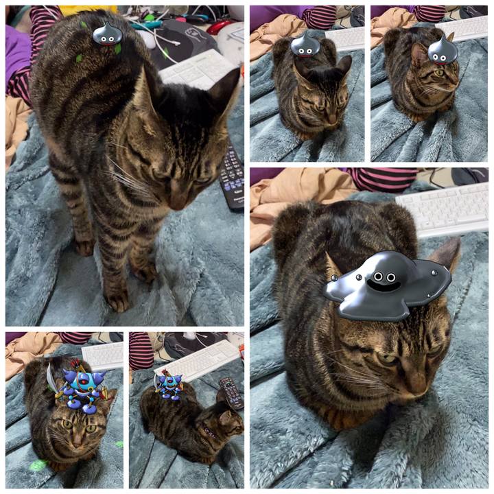 0a19cec3 90b6 4558 b055 cad84d1ddd04 1575365178848