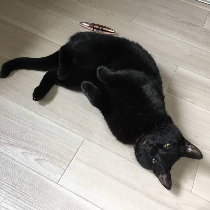 0a1a0135 0e01 496f 9de8 b2858386859d 1511079345564