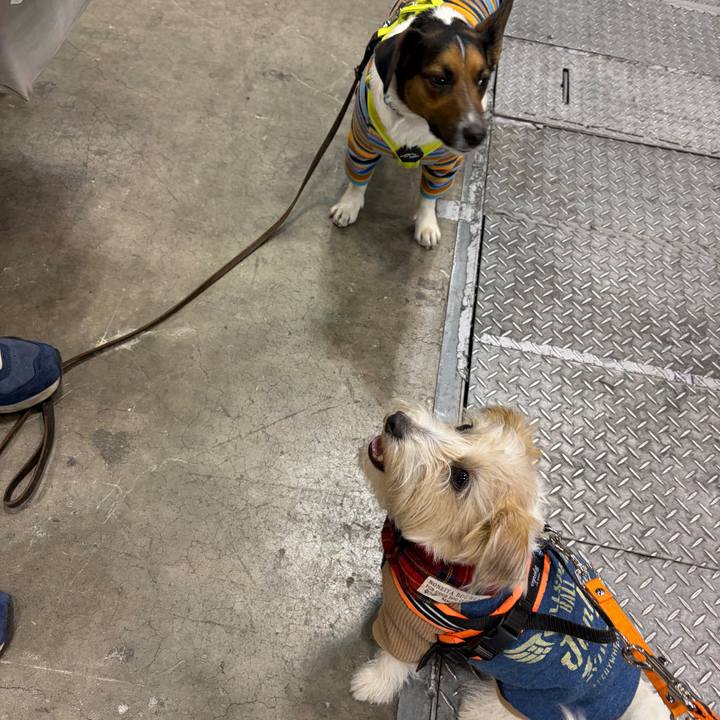 0a1a15d7 a510 484b 8cc0 31c8e75b9975 1769845989792