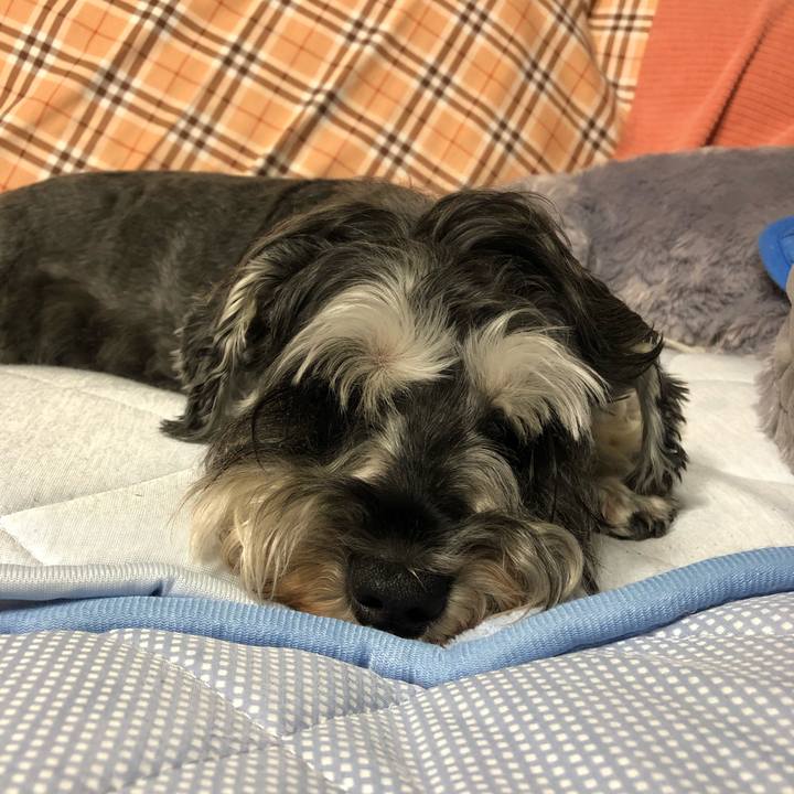 0a1a4a07 1ae6 446a a192 a208e64f03f8 1629204053198