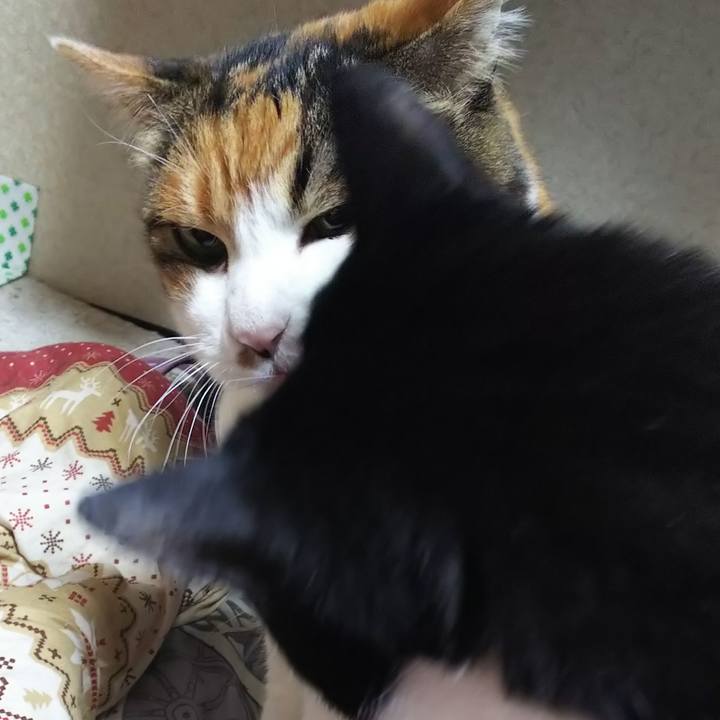 0a1a5353 86ec 452d 8fd7 91a8ba309070 1580679746989