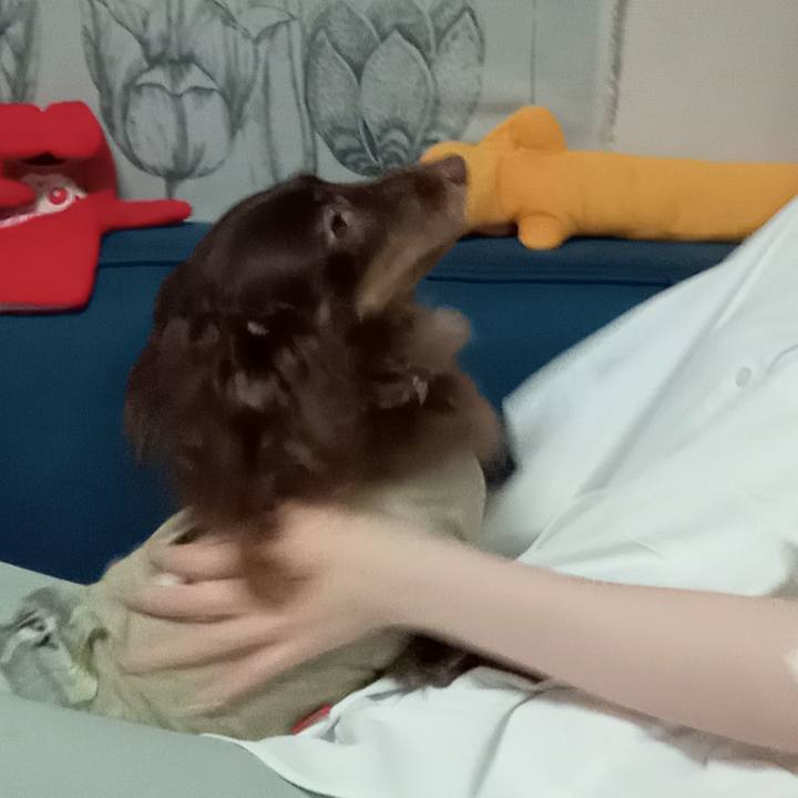 0a1a6de0 5d49 4129 b366 4e04617ca963 1760740556929