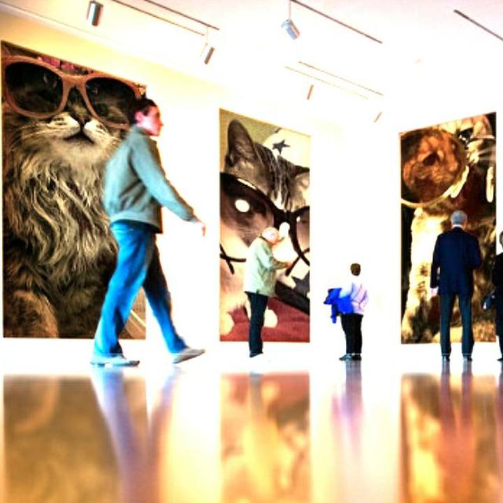 0a1a874d ce32 4960 856d 90c80eee58fb 1554294308708