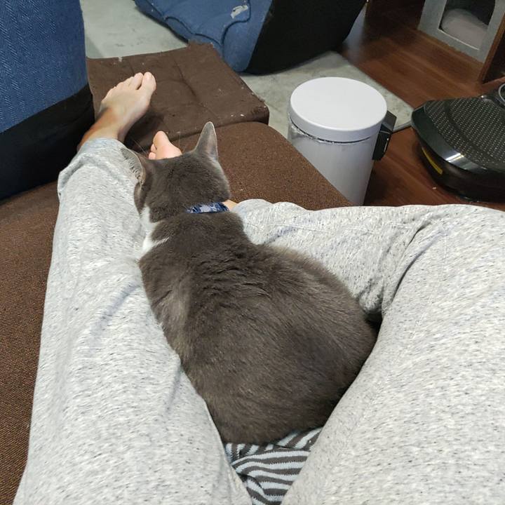 0a1aa223 cde5 4e0d ac20 7518b9479ff1 1665213490425