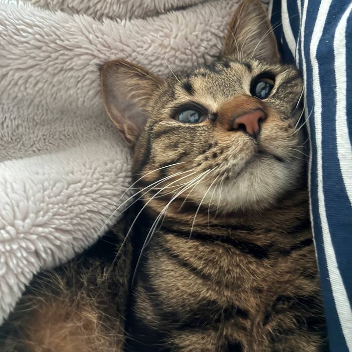 0a1ab5bb 619d 41b7 99ca ecffad70ff91 1774043464850