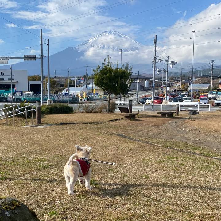 0a1b1162 627c 4794 a24b 6be921c454c8 1700723717212