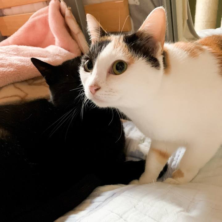 0a1b2d7b 3cfb 475b 87b1 8b50ceb57bf5 1547086691320