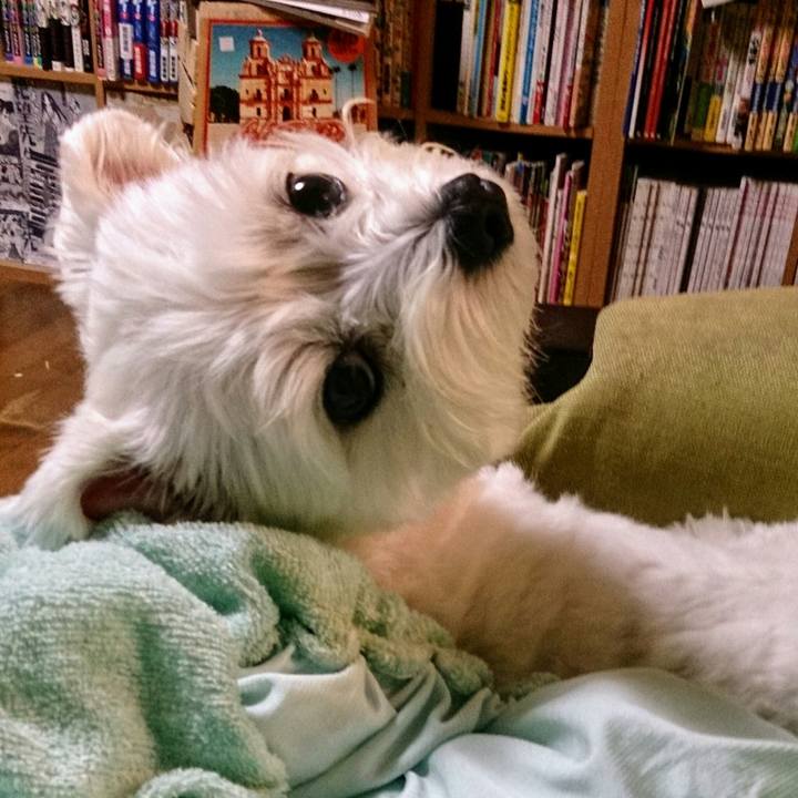 0a1b35c6 6ac1 439b 85d1 d9e357bfde02 1507631527801