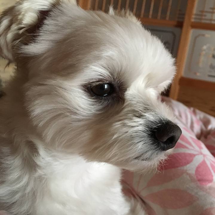 0a1b3f26 3c56 41b2 a329 2f27ae99c1c9 1510031764877