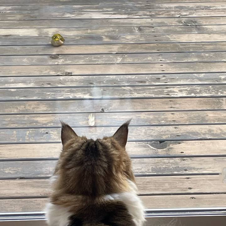 0a1b48c1 70d6 4a67 8830 d52f5e40cfbd 1706154550280