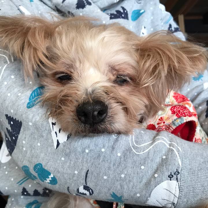 0a1b4c89 c327 41e7 a09c 3b12d91a3bfb 1550414063247