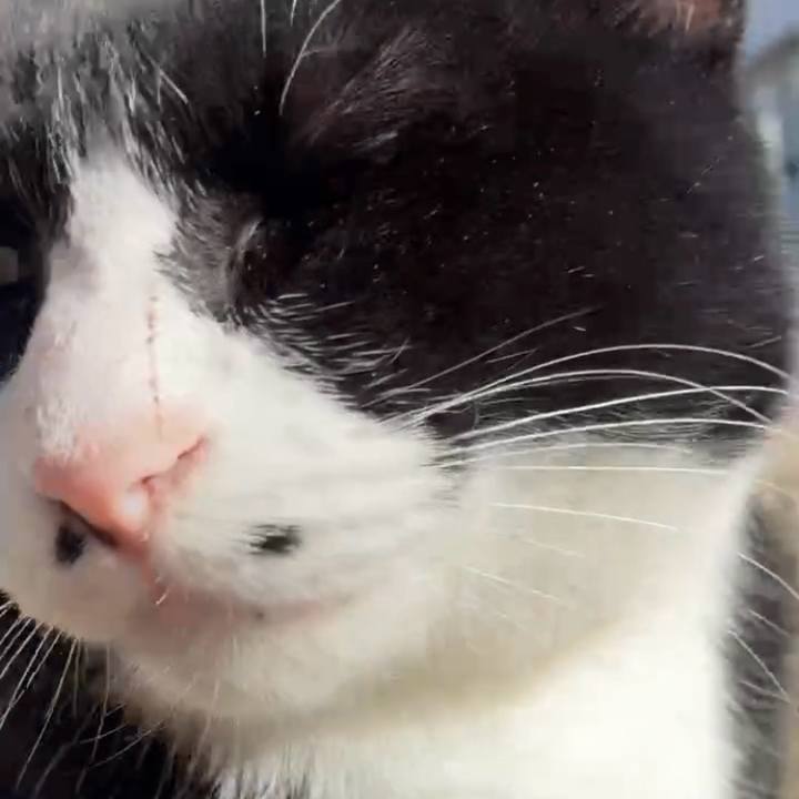 0a1bbcbd 7248 4168 b12d 5dcaf86249f0 1768741729081