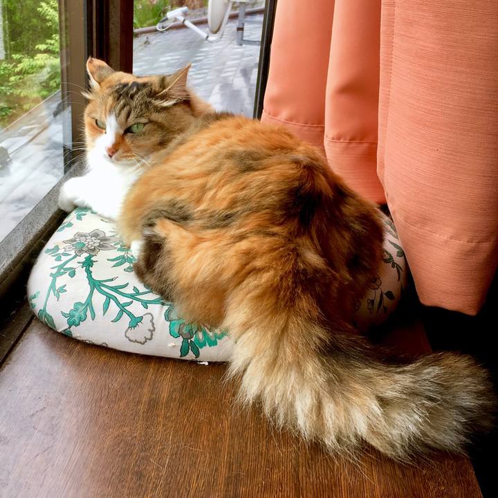 0a1bd1d5 01b9 42a1 8e8d cd41f4e06ae8 1562295766753