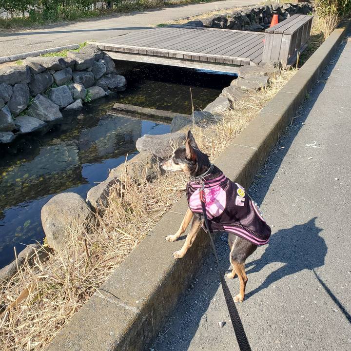 0a1bed16 4b2f 4a4e 9062 e02ed22117ce 1675559328765