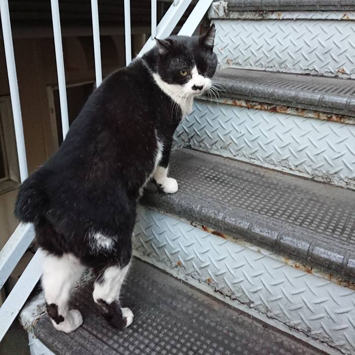 0a1c58fa 3c41 45b3 bfa3 586a4e5c565e 1675586158218