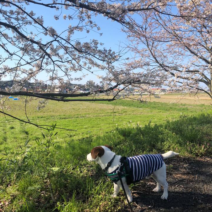 0a1c72b9 4ece 403b a88a c39f6b34b25c 1554279475292