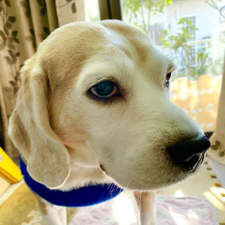 0a1c739d dcde 419d ace3 97ba677ee368 1610685358666