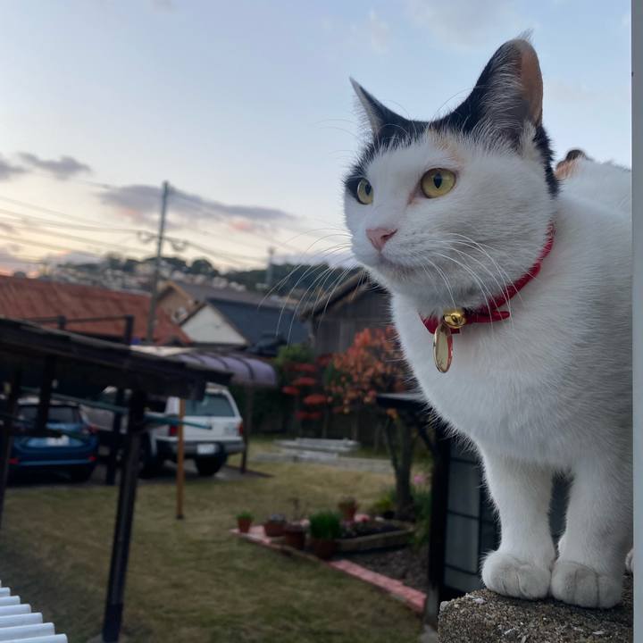 0a1c90d4 35b2 46d2 9195 25e37747a956 1637878363002