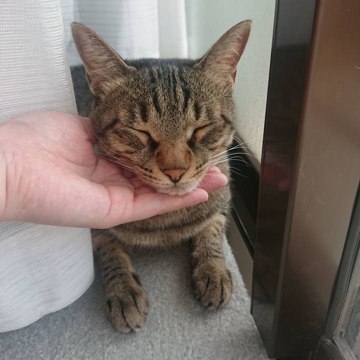 0a1cc156 fb5a 44c9 9801 b07ffaea0031 1532322282435