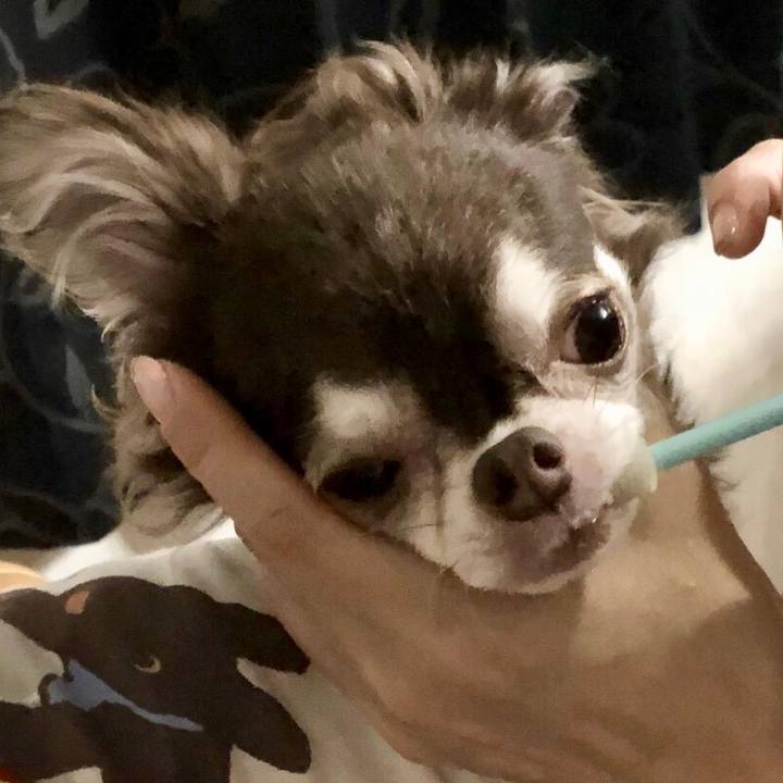 0a1ce357 439f 4035 9ddb 0dfc554d8bf1 1538830654706