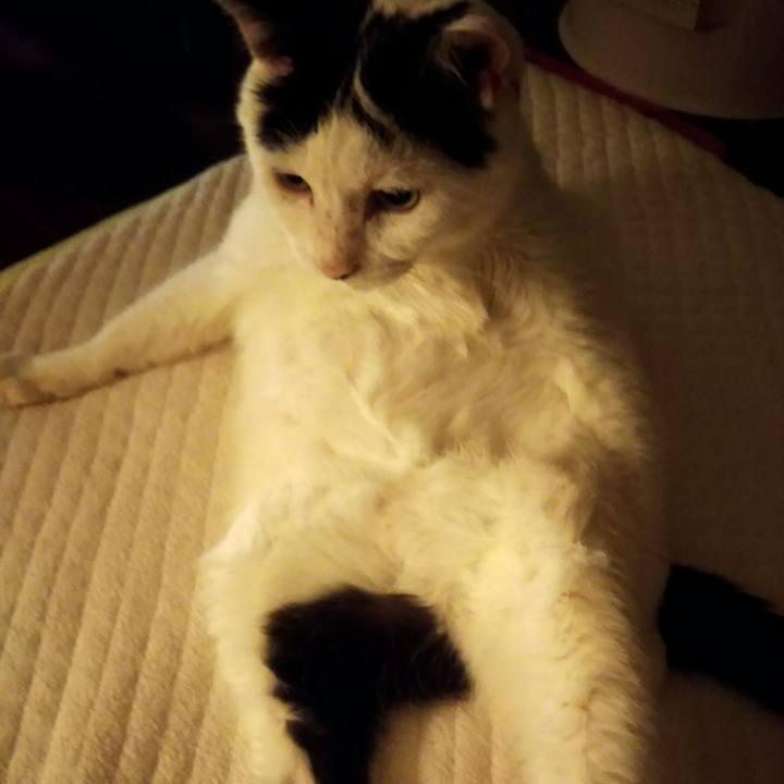 0a1cfcf2 ddf5 437d 8195 a0283fb2e783 1567247420218