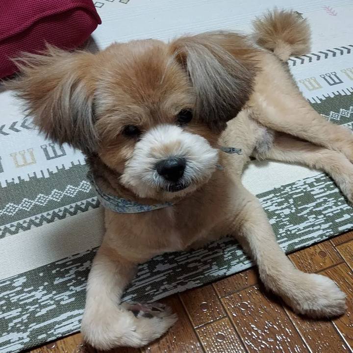 0a1d0309 61a7 492c b313 2c296eb89357 1656913522386